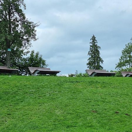 Fewo Zur Alten Tischlerei Herzberg am Harz Exterior foto